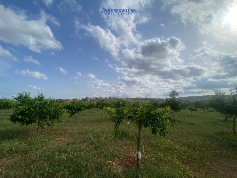 Landwirtschaftliche Fläche in Noto