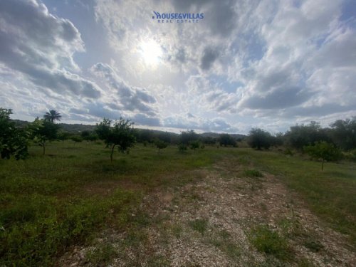 Landwirtschaftliche Fläche in Noto