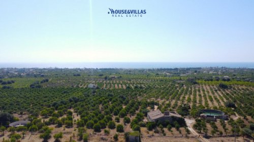 Terrain agricole à Avola