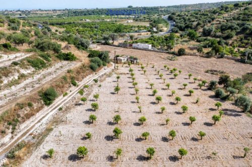 Jordbruksmark i Noto
