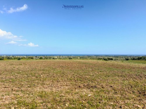 Agricultural land in Avola