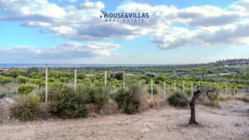 Jordbruksmark i Avola