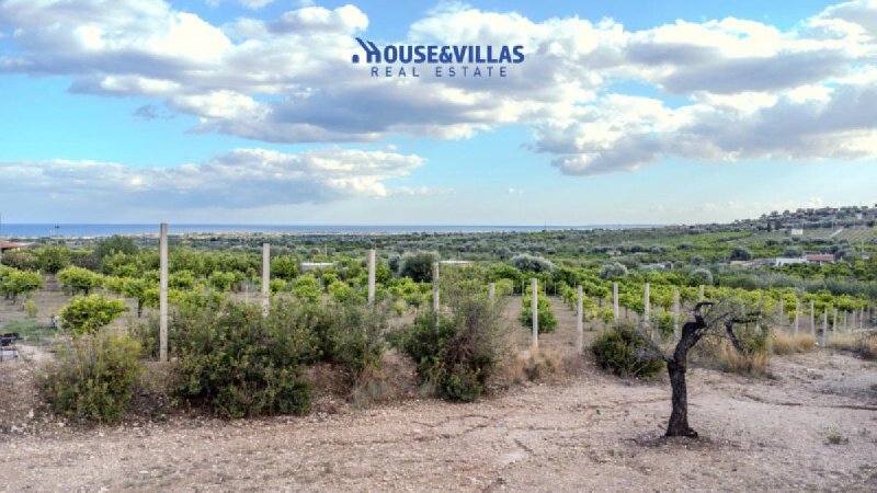 Сельскохозяйственный участок в Авола