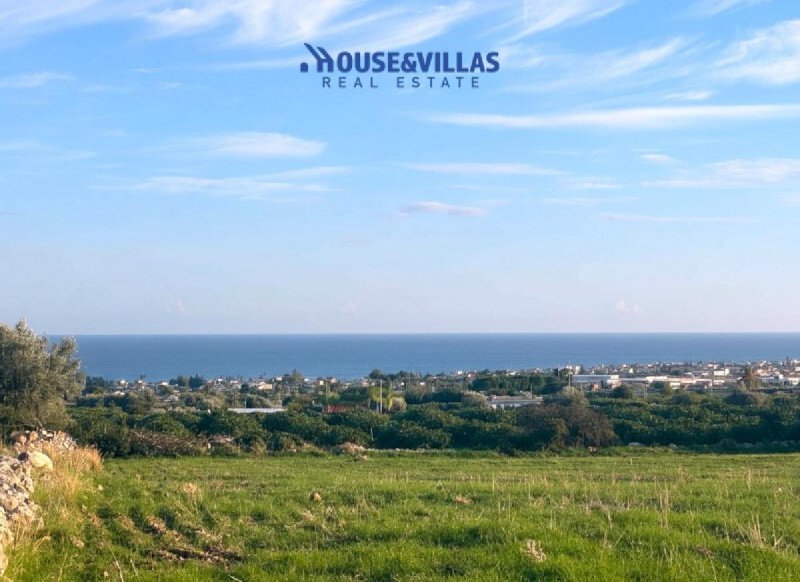 Terreno agricolo a Avola