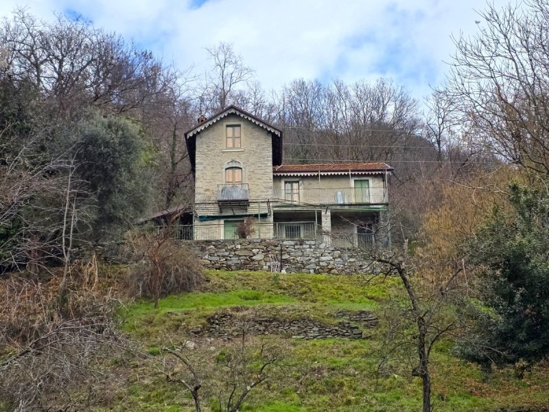 House in Verbania