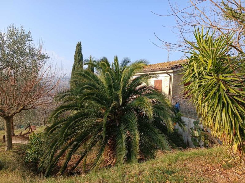 Ferme à Trecastelli