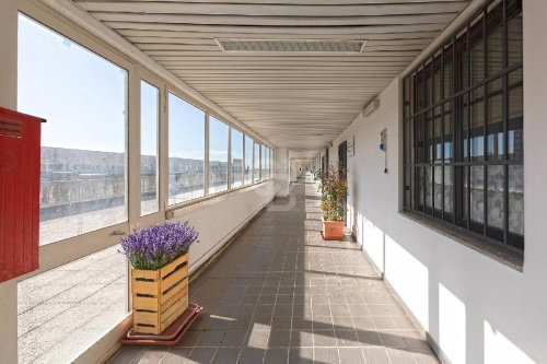 維泰博商业房产