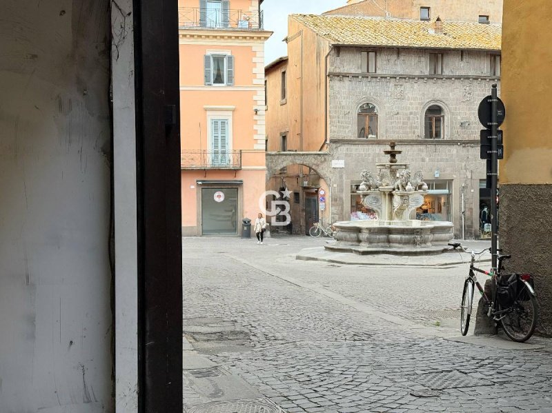 Commercial property in Viterbo