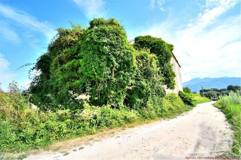 彼得拉桑塔农舍