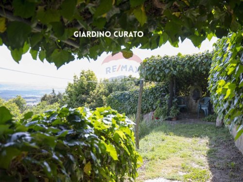 Lägenhet i Roccastrada