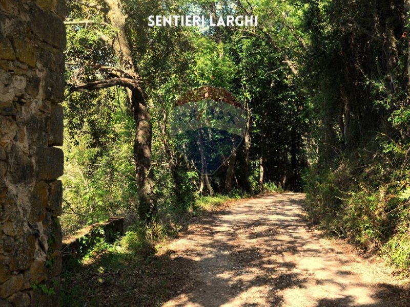 Terreno agrícola em Roccastrada
