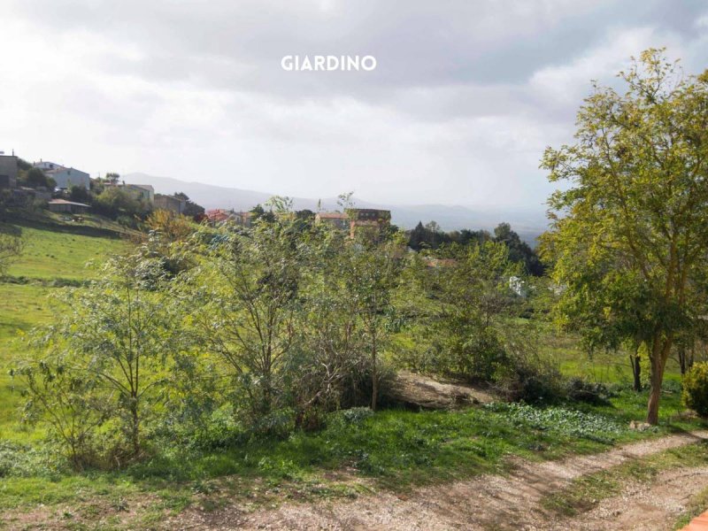 Parhus i Roccastrada