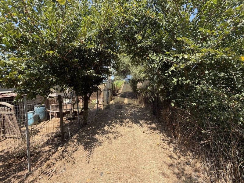 Landwirtschaftliche Fläche in Follonica