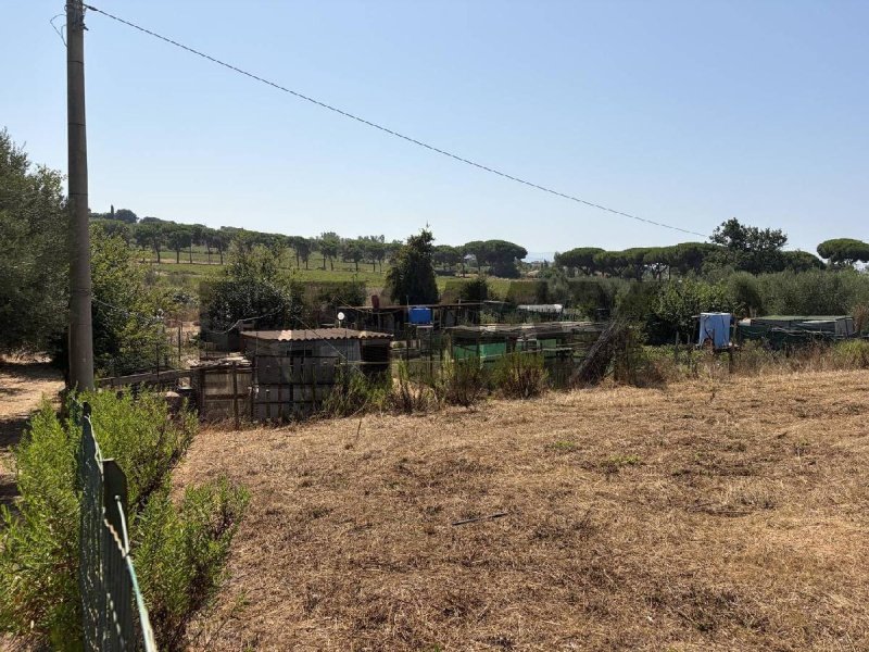 Landwirtschaftliche Fläche in Follonica