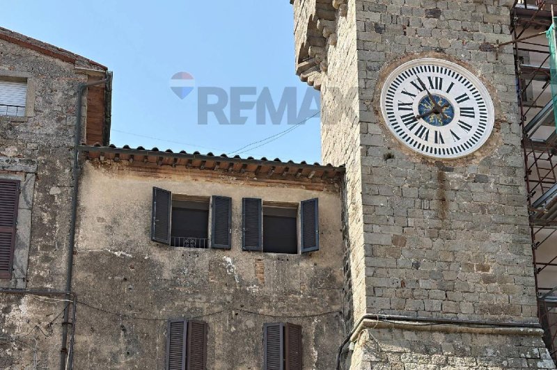 Apartment in Santa Fiora