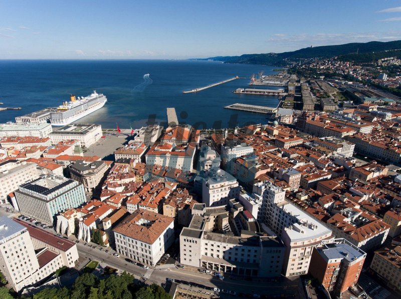 Commercial property in Trieste