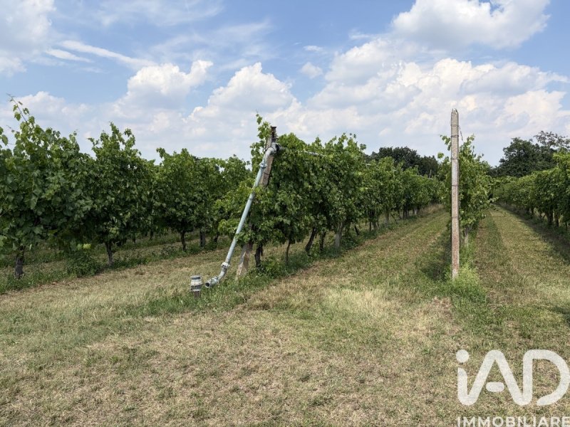 Terrain agricole à Valeggio sul Mincio