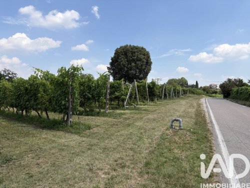 Terrain agricole à Valeggio sul Mincio