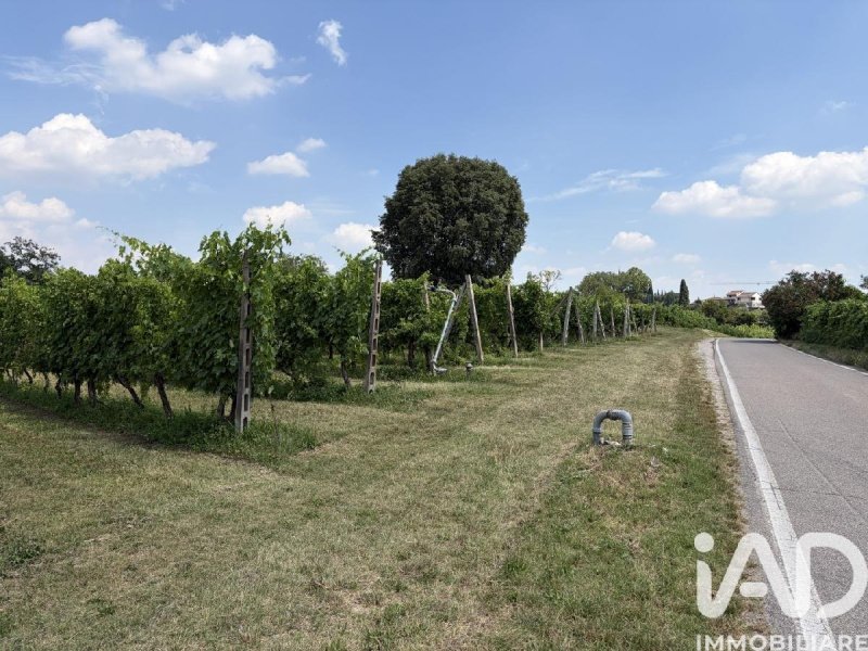 Terrain agricole à Valeggio sul Mincio