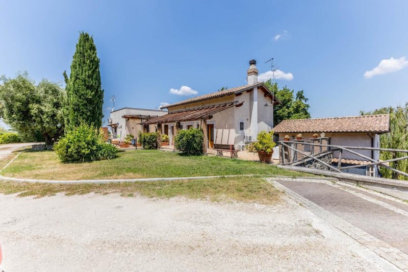 Agroturismo en Frascati