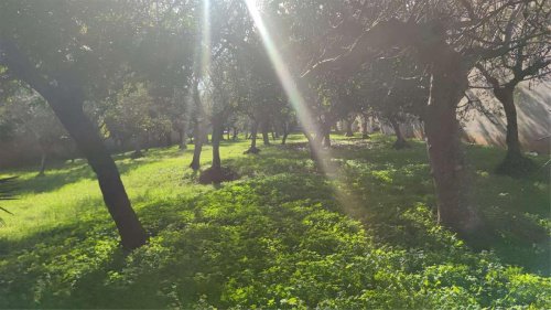 卡斯特罗维拉里建筑用地