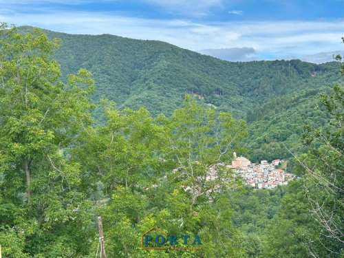 Casa di campagna a Roccaforte Mondovì