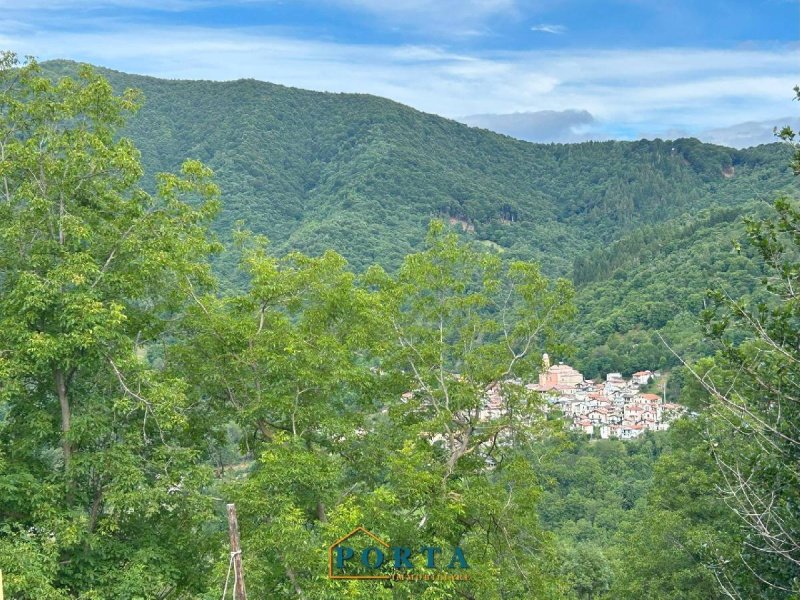 Landhaus in Roccaforte Mondovì