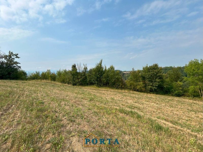 Jordbruksmark i Rocca Cigliè