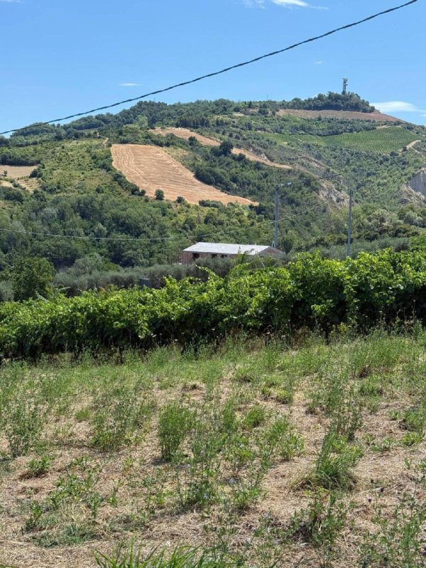 Hus på landet i Ripatransone