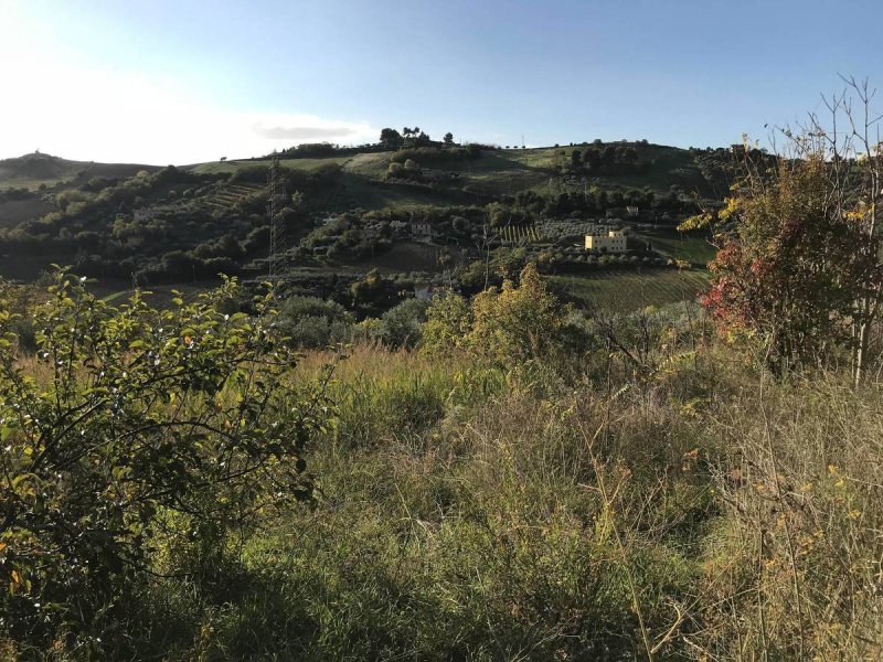 Сельскохозяйственный участок в Сан-Бенедетто-дель-Тронто