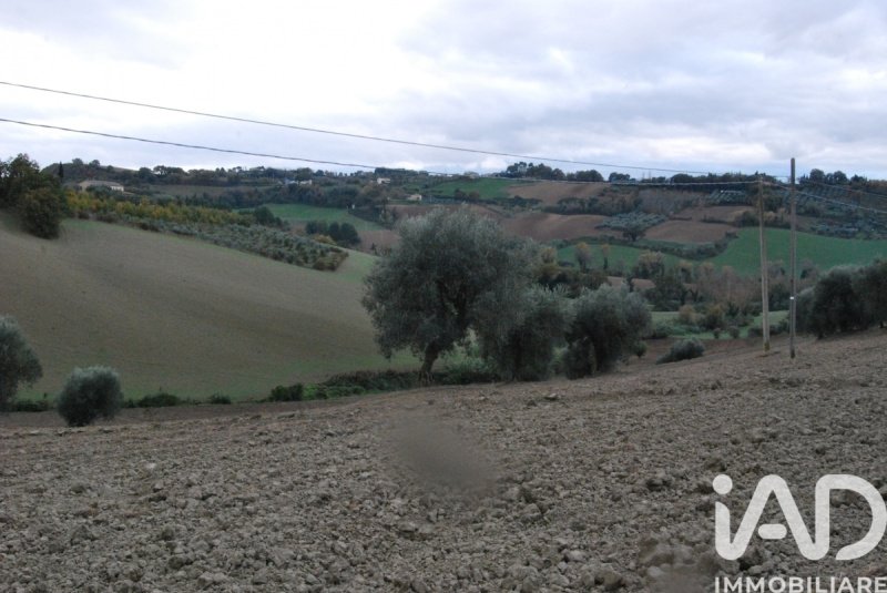 Terreno edificable en Terre Roveresche