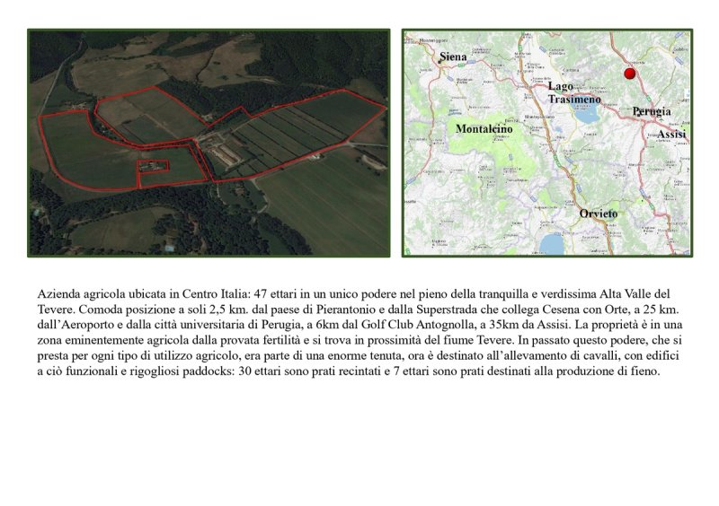 Ферма в Ассизи