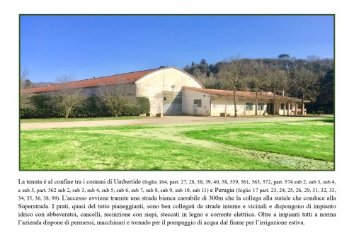 Ферма в Ассизи