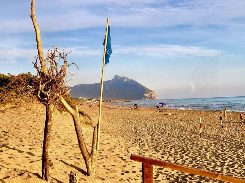 Независимая квартира в Сабаудия