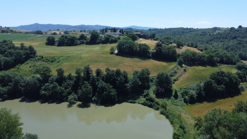 Lantställe i Castiglione del Lago