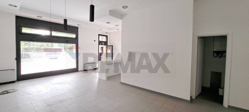 Коммерческая недвижимость в Сан-Донато-Миланезе