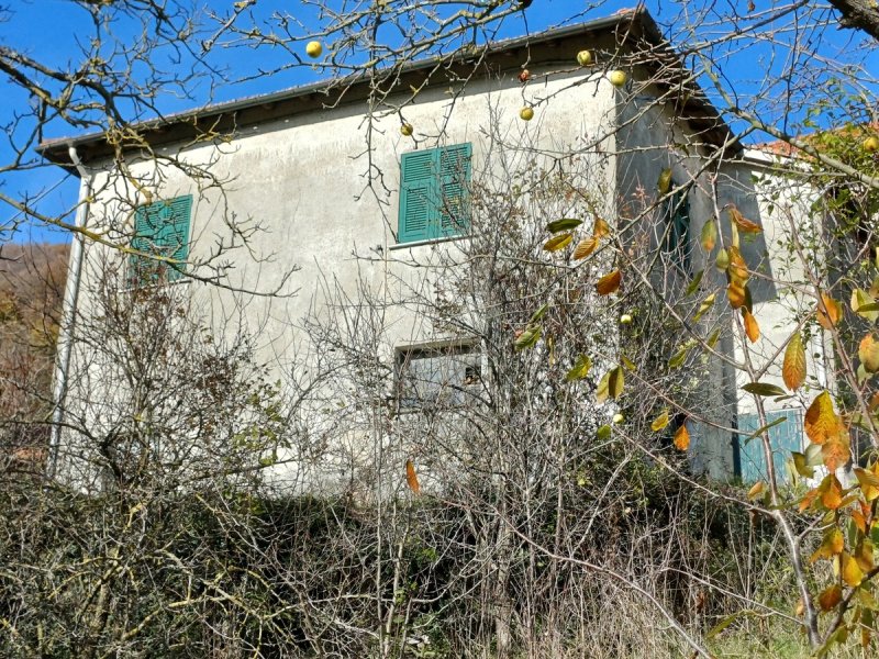 Einfamilienhaus in Savignone