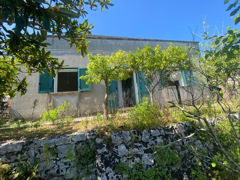 Сельский дом в Спеккия