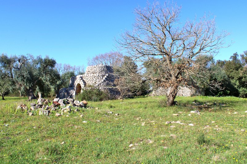 Terreno a Carovigno