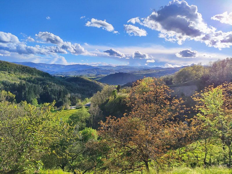 Exploitation agricole à Pratovecchio Stia