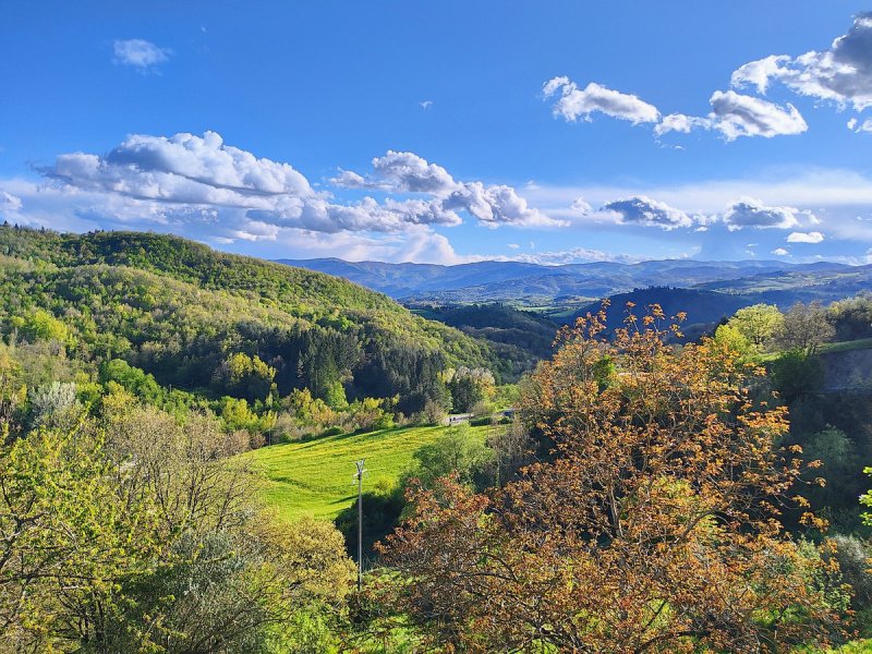 Exploitation agricole à Pratovecchio Stia