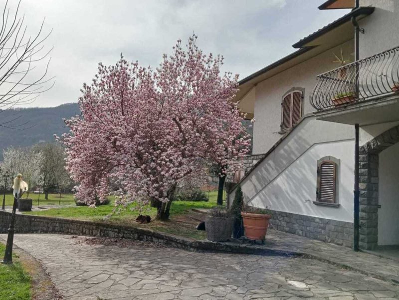 Villa in Licciana Nardi