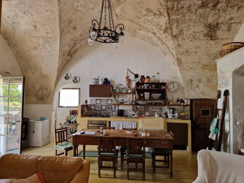 Сельскохозяйственная ферма в Нардо