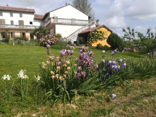 Особняк в Кастаньоле-Монферрато