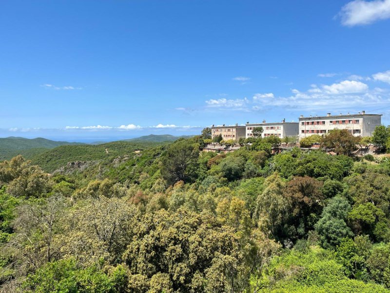 Historisk lägenhet i Guspini