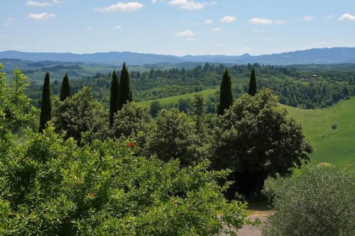 Villa in Terricciola