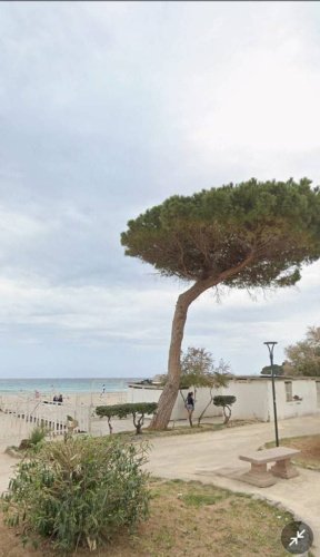 Квартира в Палермо