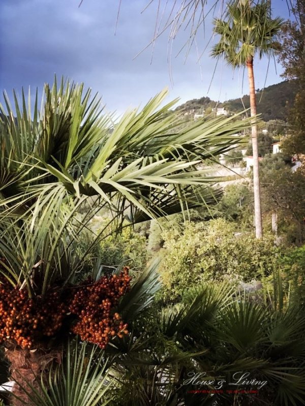 Вилла в Сан-Ремо