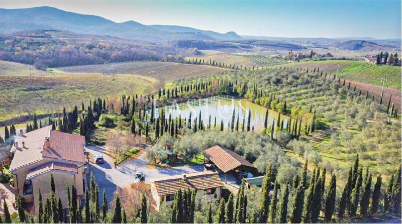 Lantställe i Manciano