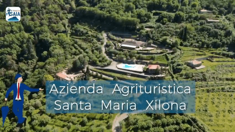 Агротуризм в Синагра